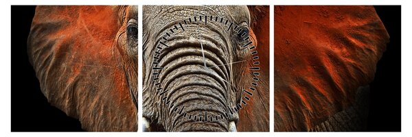Obraz - Slony z Tsavo (s hodinami) (90x30 cm)