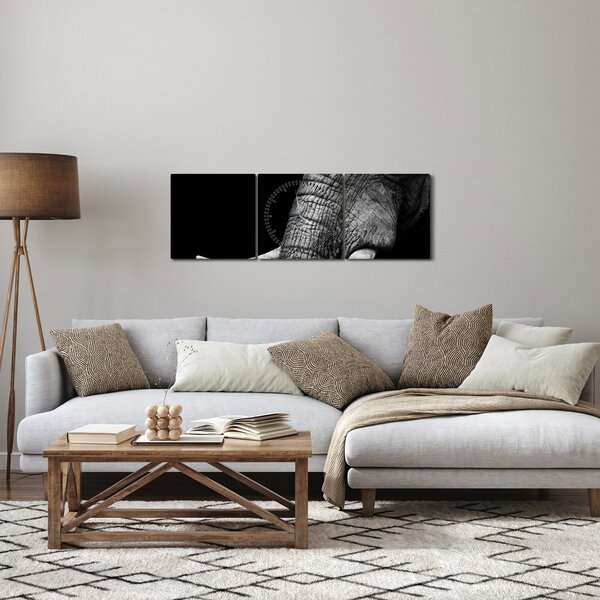 Obraz - Slonie kly (s hodinami) (90x30 cm)