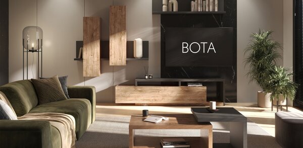 PROFI obývacia stena BOTA antracit/dub ribbec
