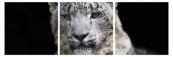Obraz - Leopard snežný (s hodinami) (90x30 cm)