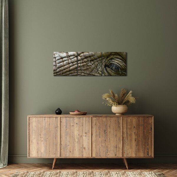 Obraz - Detailné fotografie starého slonieho oka (s hodinami) (90x30 cm)