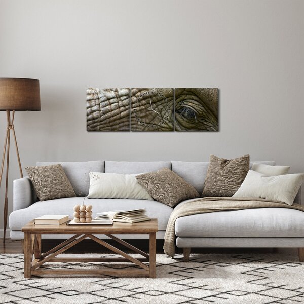 Obraz - Detailné fotografie starého slonieho oka (s hodinami) (90x30 cm)