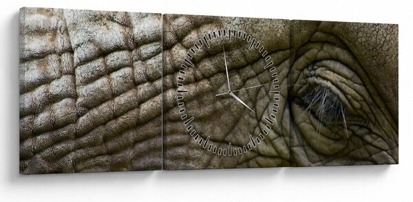 Obraz - Detailné fotografie starého slonieho oka (s hodinami) (90x30 cm)