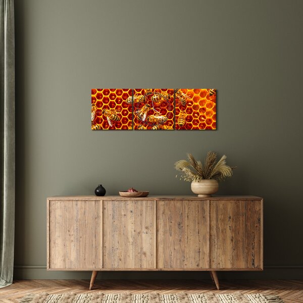 Obraz - Medový plást (s hodinami) (90x30 cm)