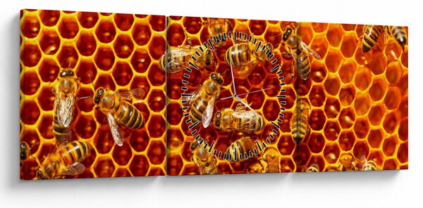 Obraz - Medový plást (s hodinami) (90x30 cm)