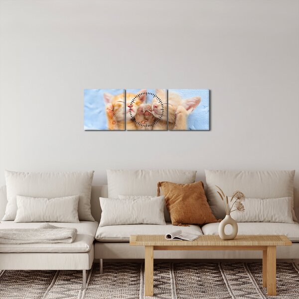 Obraz - Spiace mačiatka (s hodinami) (90x30 cm)
