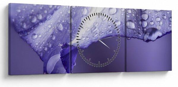 Obraz - Okvetný lístok s kvapkami (s hodinami) (90x30 cm)