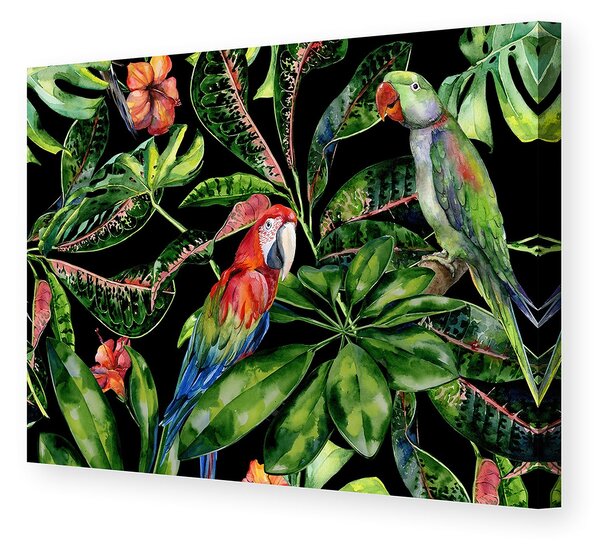 Plátno maľba Tropical Birds