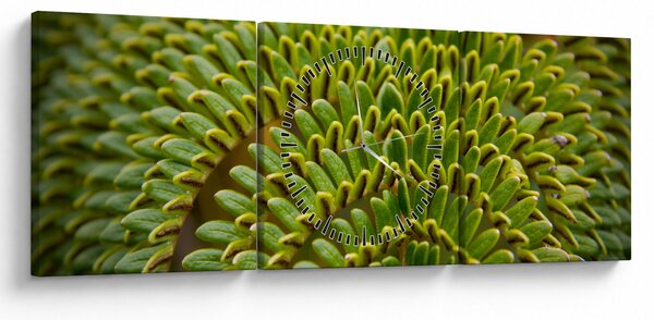 Obraz - Papraď (s hodinami) (90x30 cm)