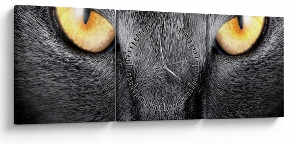 Obraz - Blízky portrét mačky (s hodinami) (90x30 cm)