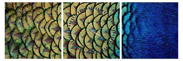 Obraz - Pávie perie (s hodinami) (90x30 cm)