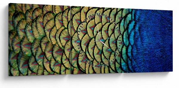 Obraz - Pávie perie (s hodinami) (90x30 cm)