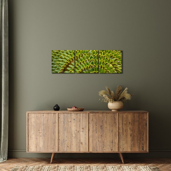 Obraz - Papraď (s hodinami) (90x30 cm)