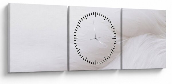 Obraz - Biele pierko (s hodinami) (90x30 cm)