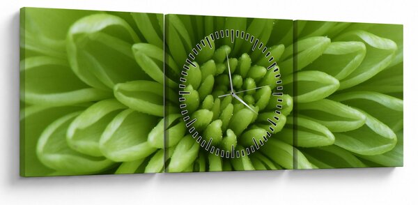 Obraz - Makro snímka rastliny (s hodinami) (90x30 cm)