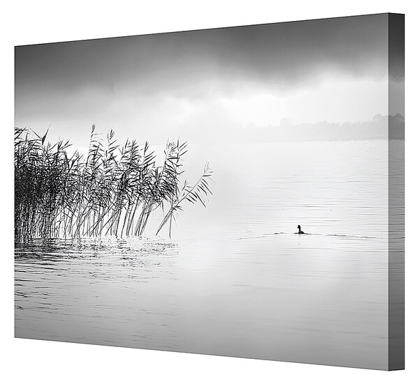 Plátno maľba By the Lake II