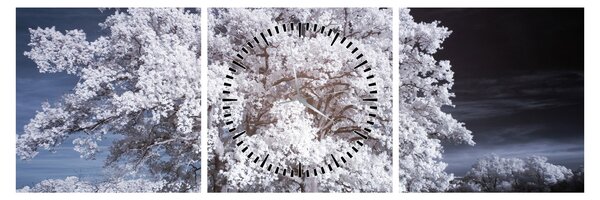 Obraz - Snehobiely strom (s hodinami) (90x30 cm)
