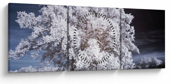 Obraz - Snehobiely strom (s hodinami) (90x30 cm)