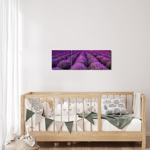Obraz - Levanduľové pole (s hodinami) (90x30 cm)
