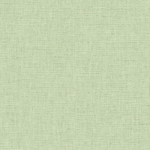 A.S. Création | Vliesová tapeta na stenu Michalsky 39988-6 | 0,53 x 10,05 m | zelená