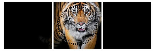 Obraz - Tiger (s hodinami) (90x30 cm)