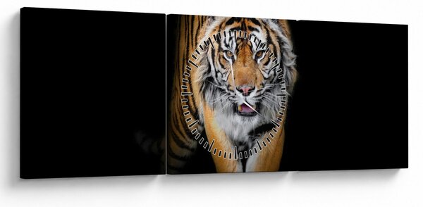 Obraz - Tiger (s hodinami) (90x30 cm)