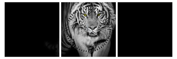 Obraz - Tiger so žltými očami (s hodinami) (90x30 cm)