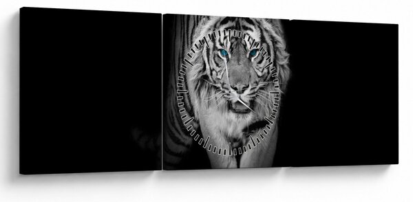Obraz - Tiger s modrými očami (s hodinami) (90x30 cm)
