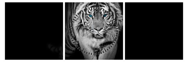 Obraz - Tiger s modrými očami (s hodinami) (90x30 cm)