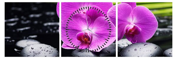Obraz - Orchidey (s hodinami) (90x30 cm)