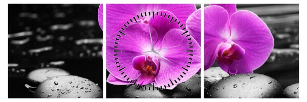 Obraz - Fialové orchidey (s hodinami) (90x30 cm)