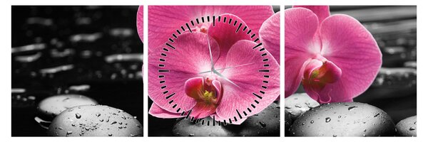 Obraz - Ružové orchidey (s hodinami) (90x30 cm)