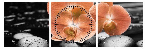 Obraz - Oranžové orchidey (s hodinami) (90x30 cm)