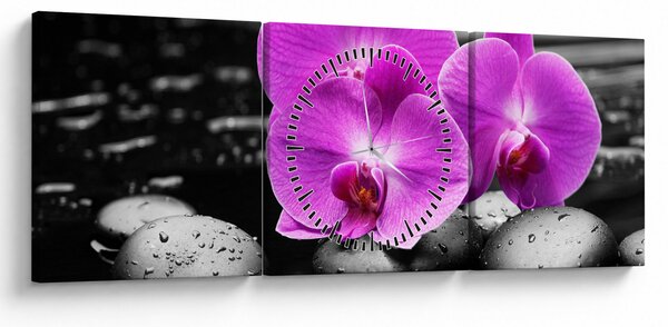 Obraz - Fialové orchidey (s hodinami) (90x30 cm)