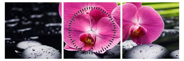 Obraz - Ružové orchidey s palmovým listom (s hodinami) (90x30 cm)