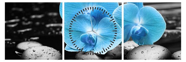 Obraz - Modrá orchidea (s hodinami) (90x30 cm)