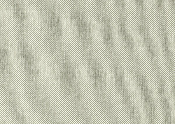 ROZKLADACIA POHOVKA, textil, strieborná, svetlozelená Livetastic - Sedačky, Online Only