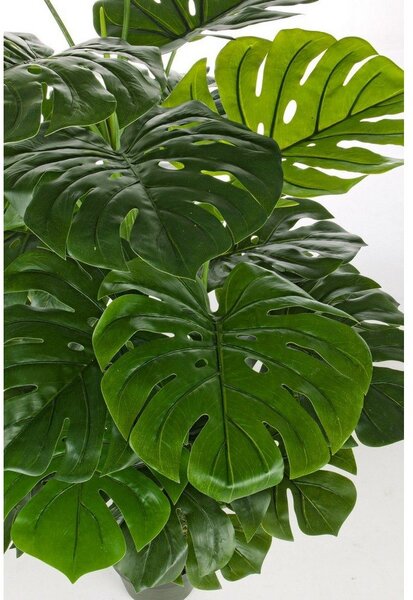 Umelá monstera (výška 120 cm) Philodendron – Bizzotto