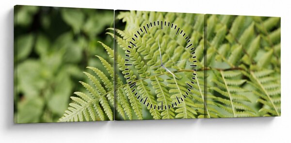 Obraz - Papradinový list (s hodinami) (90x30 cm)