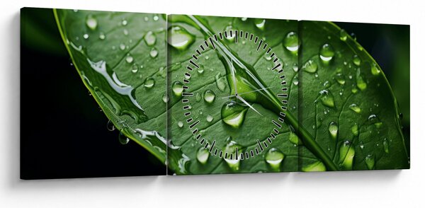 Obraz - List po daždi (s hodinami) (90x30 cm)