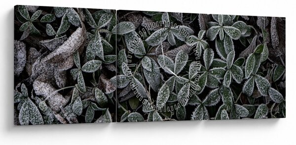 Obraz - Zamrznuté rastliny (s hodinami) (90x30 cm)