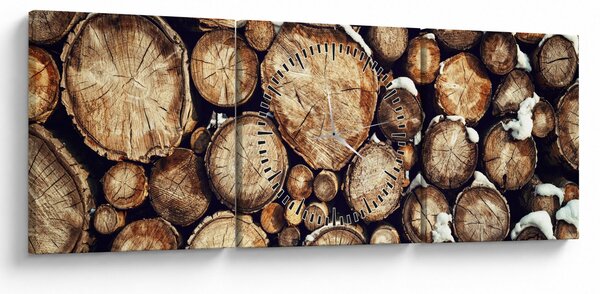 Obraz - Drevo v snehu (s hodinami) (90x30 cm)