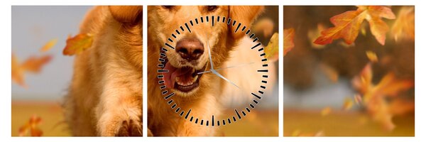 Obraz - Zlatý retriever (s hodinami) (90x30 cm)