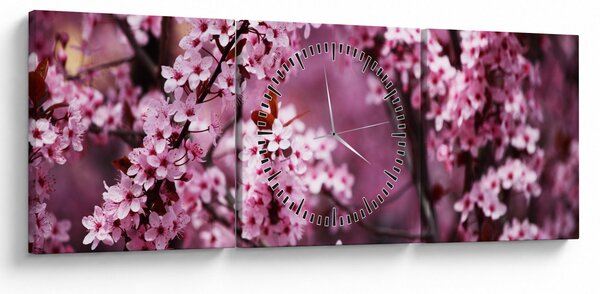 Obraz - Ružová sakura (s hodinami) (90x30 cm)