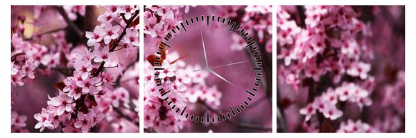 Obraz - Ružová sakura (s hodinami) (90x30 cm)