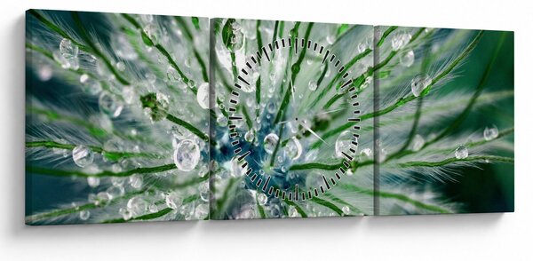 Obraz - Makro snímka kvetu (s hodinami) (90x30 cm)