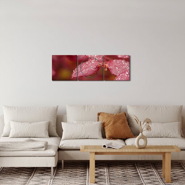 Obraz - Makro snímka lístka (s hodinami) (90x30 cm)