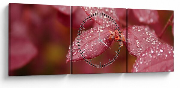 Obraz - Makro snímka lístka (s hodinami) (90x30 cm)