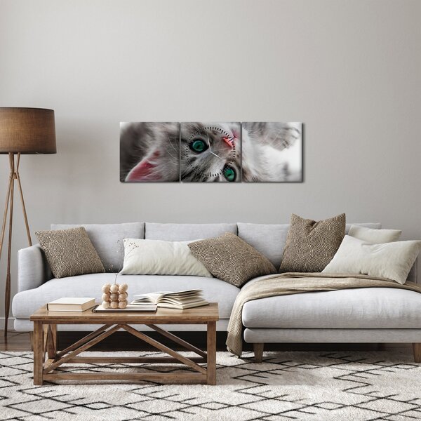 Obraz - Mačka so zelenými očami (s hodinami) (90x30 cm)