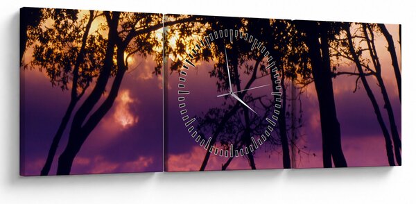 Obraz - Stromy pri západe slnka (s hodinami) (90x30 cm)
